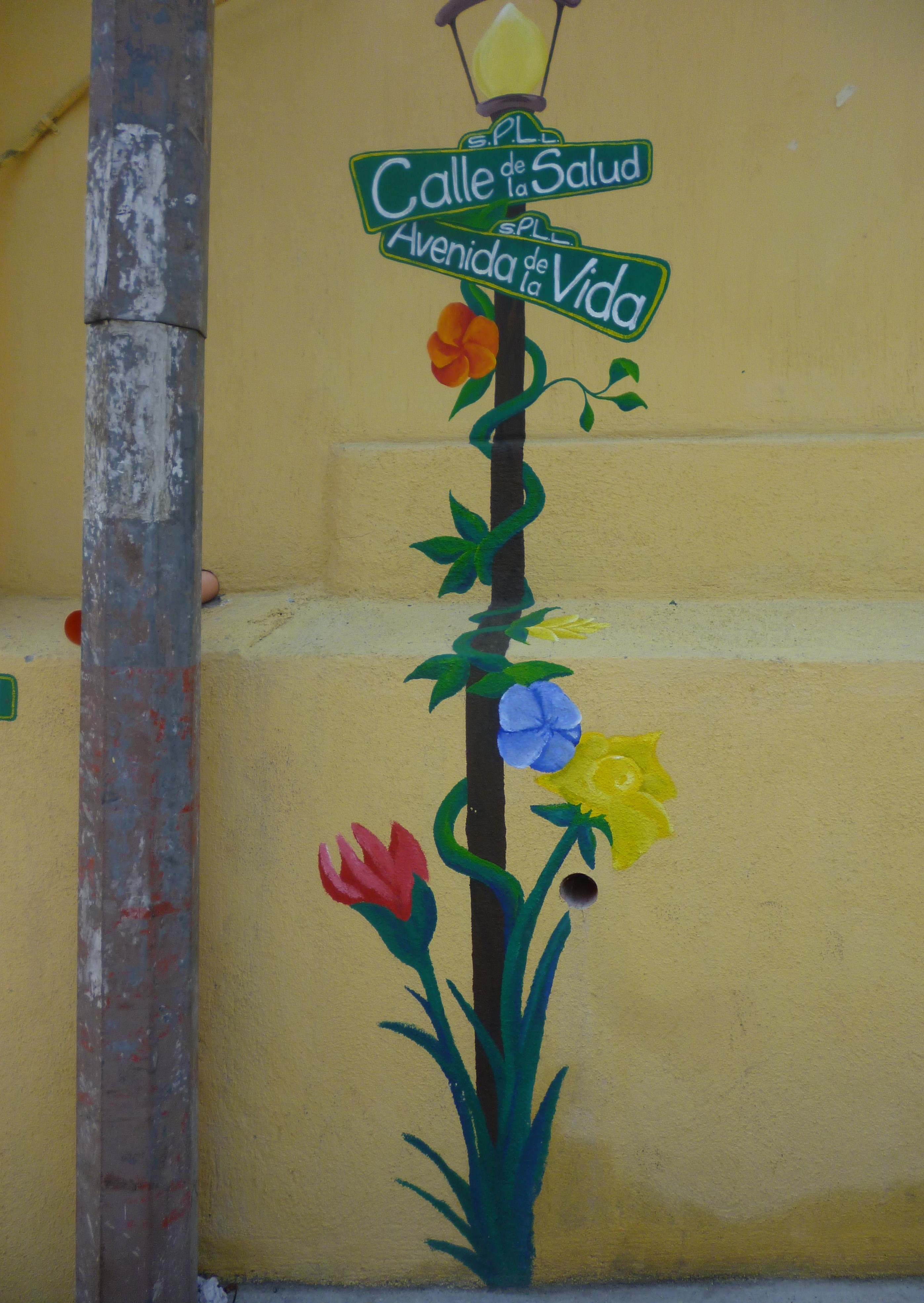 Foto: Pedro Perez Parada