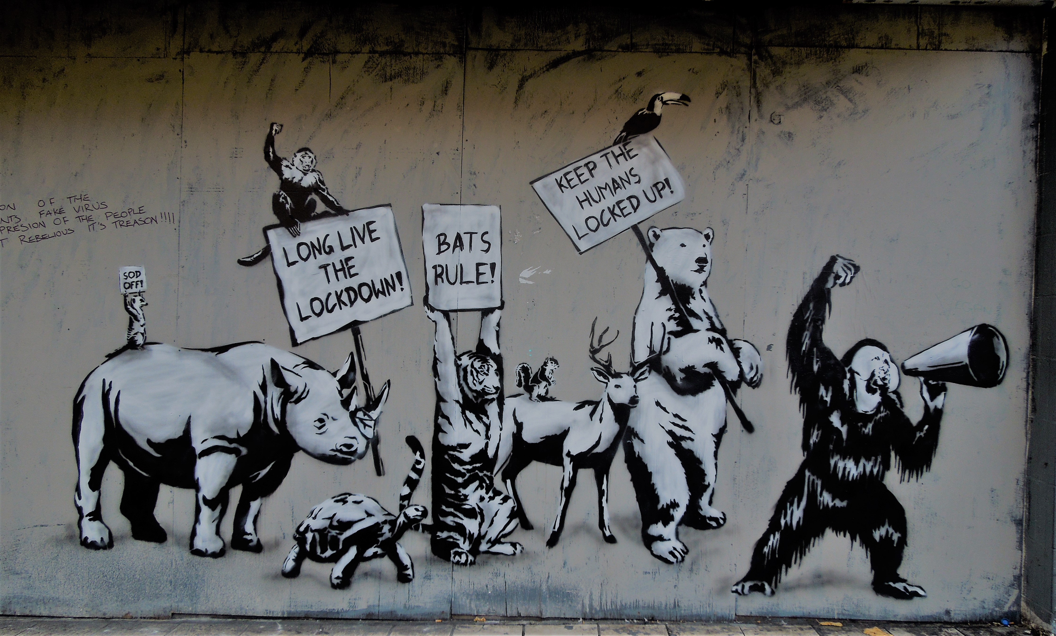 Artist: The Rebel BearFoto: Pedro Perez Parada