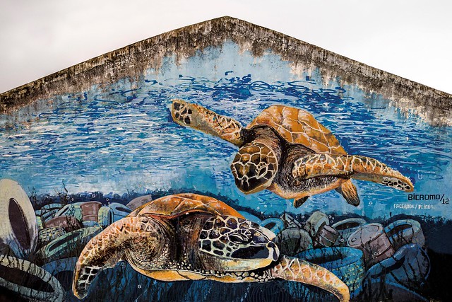 Artista Bicaoma, Colombia