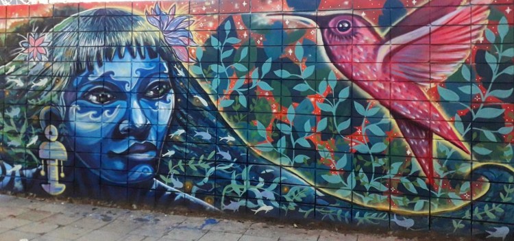 Artist and photo Julian Roura, Argentina